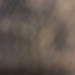 Meet your Posher, Jake